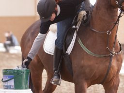 IMG_3125_web
